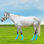 WARMWOW anti fly leggings protecting horse legs in a pasture