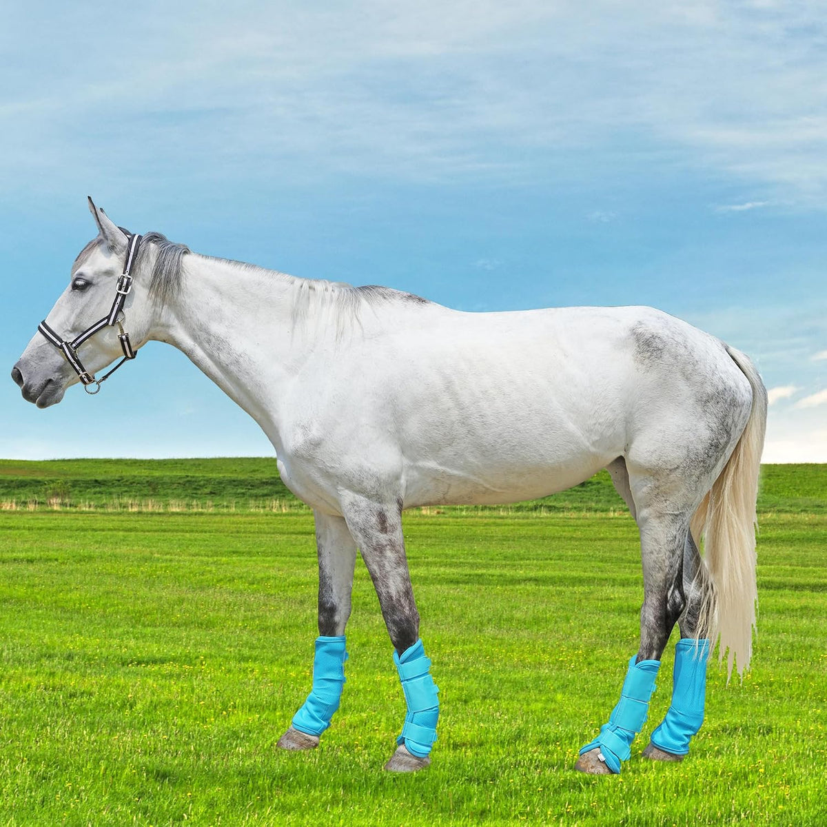 WARMWOW anti fly leggings protecting horse legs in a pasture