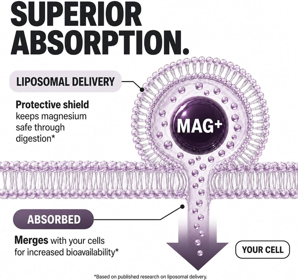 Liposomal Magnesium L-Threonate with Apigenin, L-Theanine, & Valerian Root - Image 7