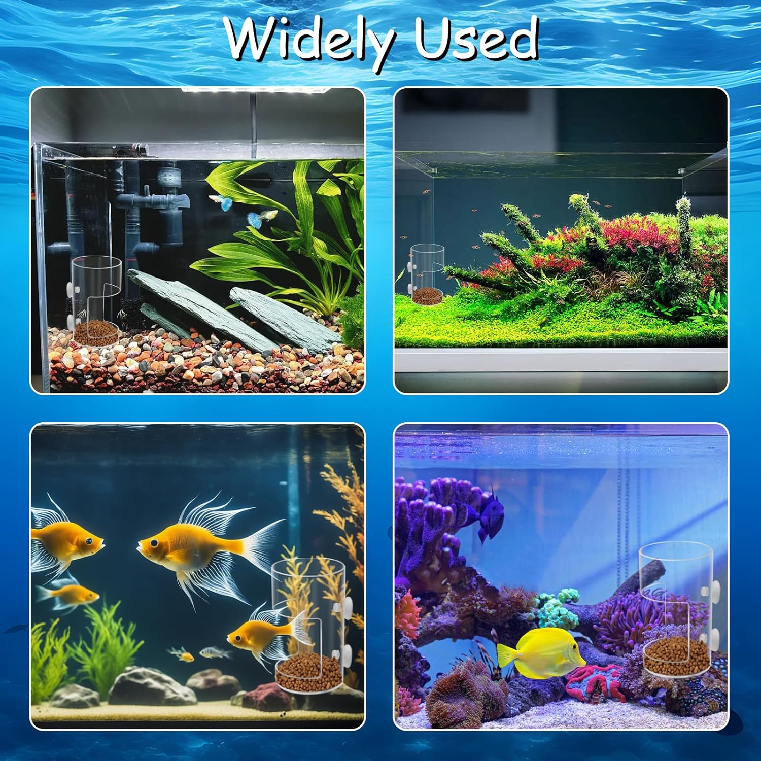 Clear plastic fish tank feeding tube assembly for tropical fish care