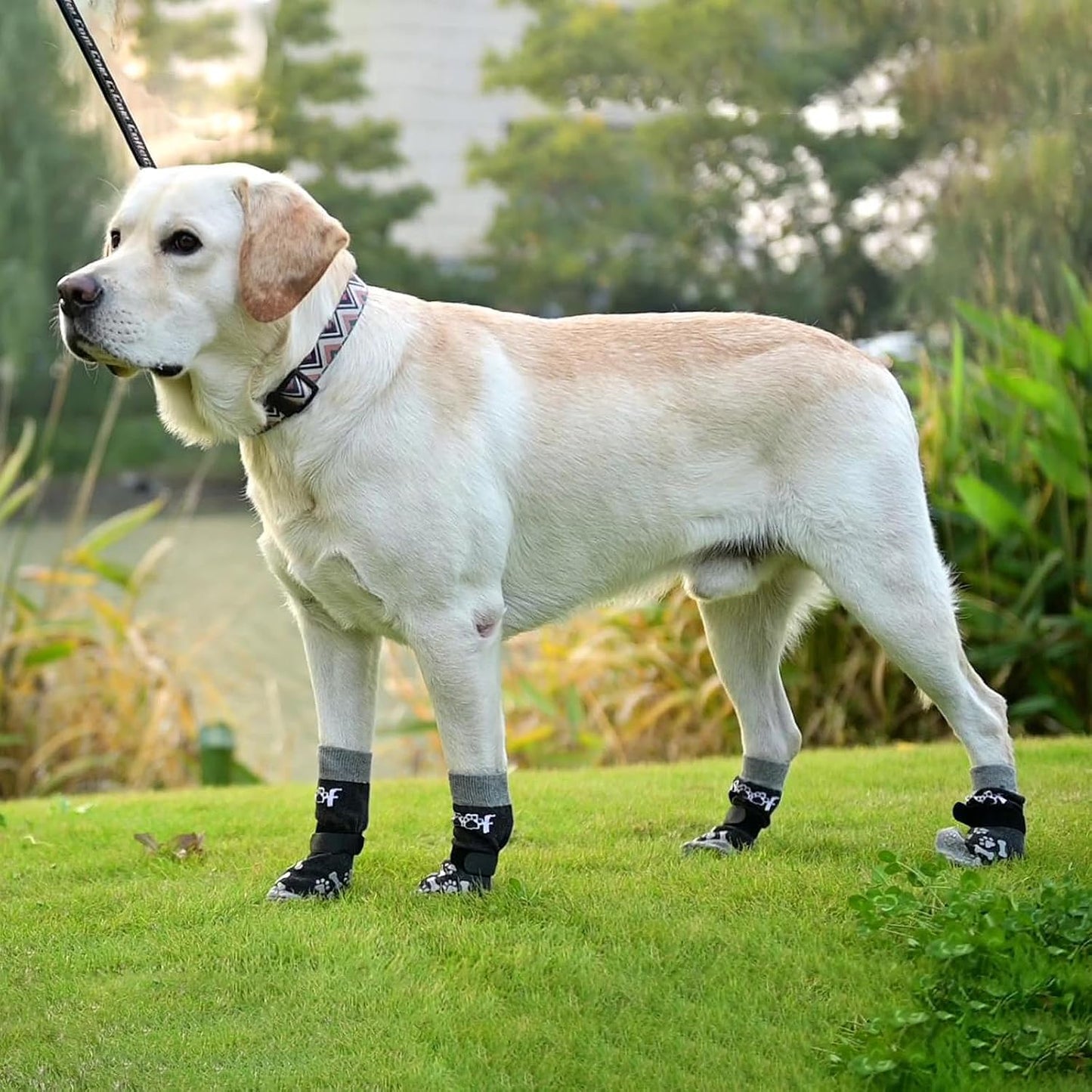 Comparison view of Kooltail dog socks for small and medium breeds