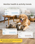 Smartphone display showing Furbo app pet monitor feed