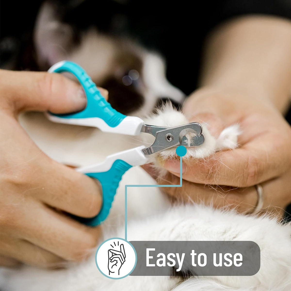 Mr. Pen- Cat Nail Clipper, Stainless Steel, Sharp Cat Claw Trimmer | Cat Claw Trimmer for Small and Medium Cats, Pet Nail Clipper with Sturdy Non Slip Handle - Image 9