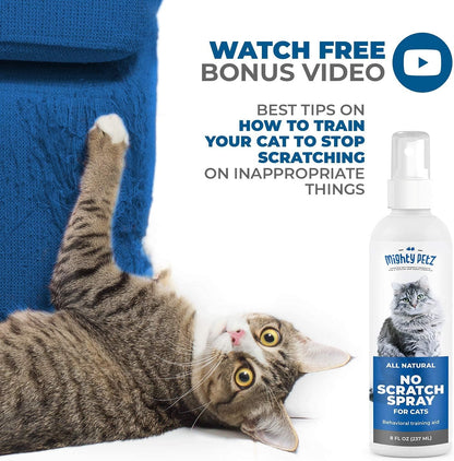 Alcohol free feline training aid spray application instructions