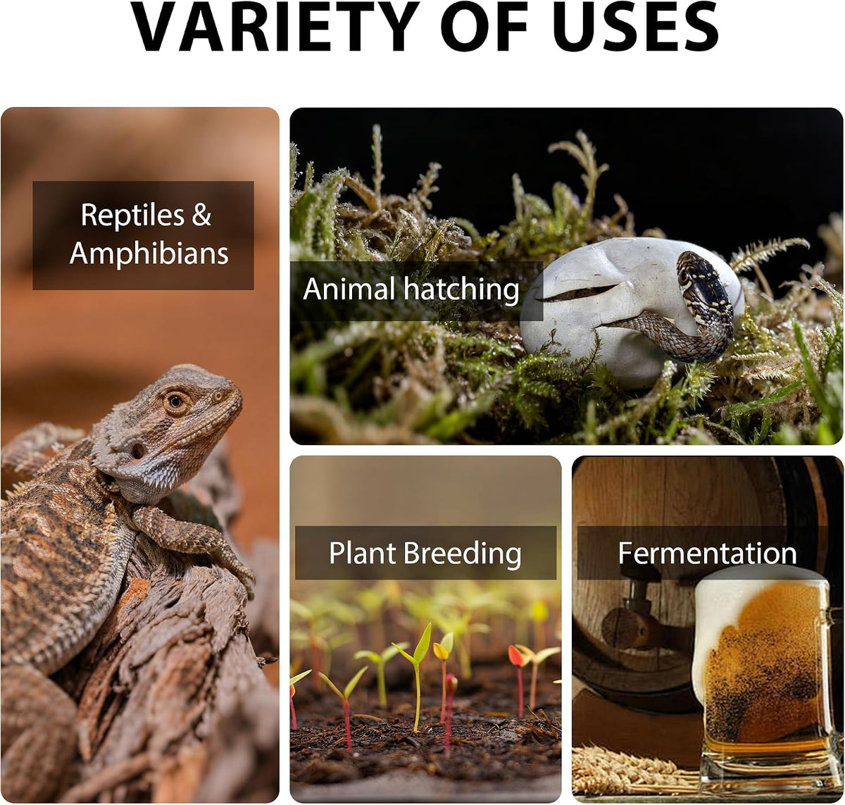 Repwild digital reptile thermostat packaging and components