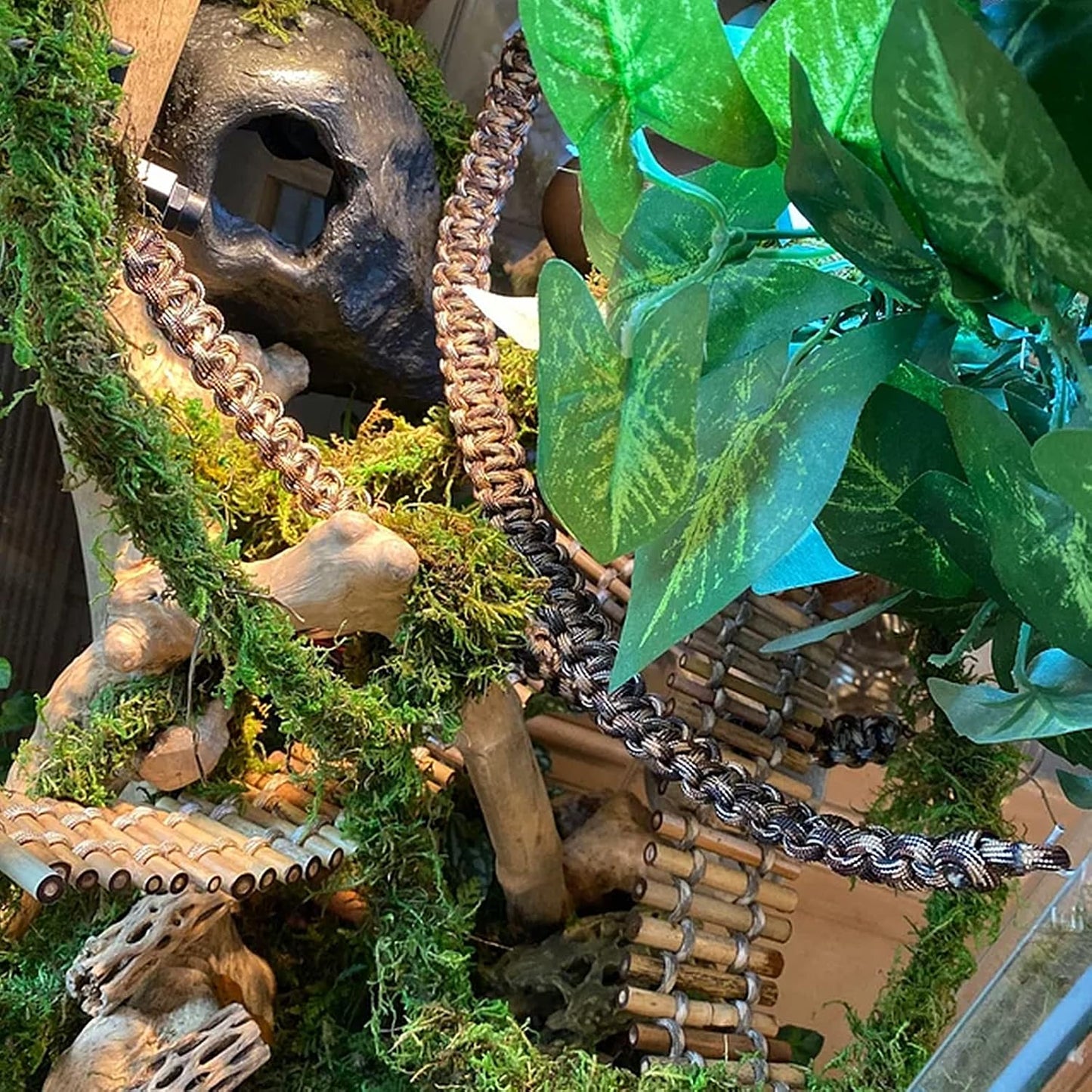 FiveBull flexible jungle climber setup suitable for snakes and tree frogs