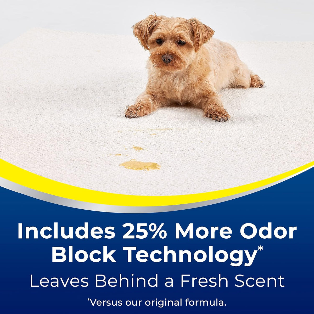 Bissell Woolite Advantage pack of 2 showcasing odour block technology details