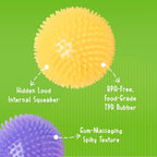 Gnawsome squeaker ball for medium dog breeds