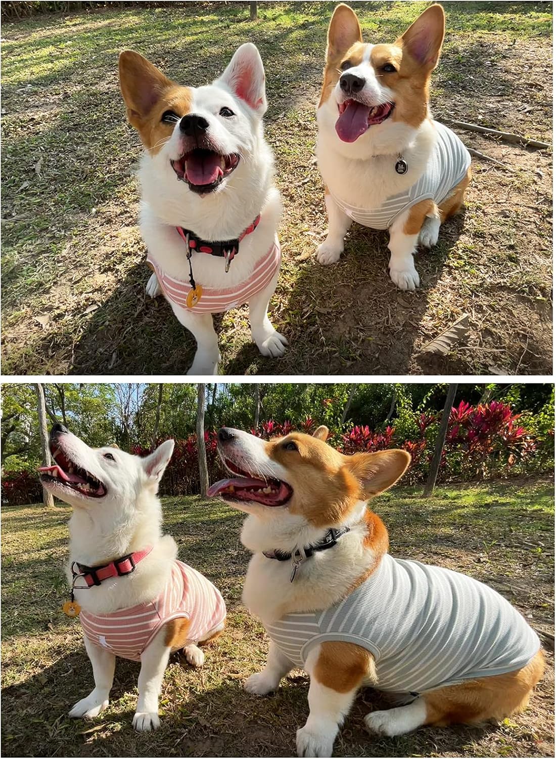 Koneseve striped pet vest on medium dog