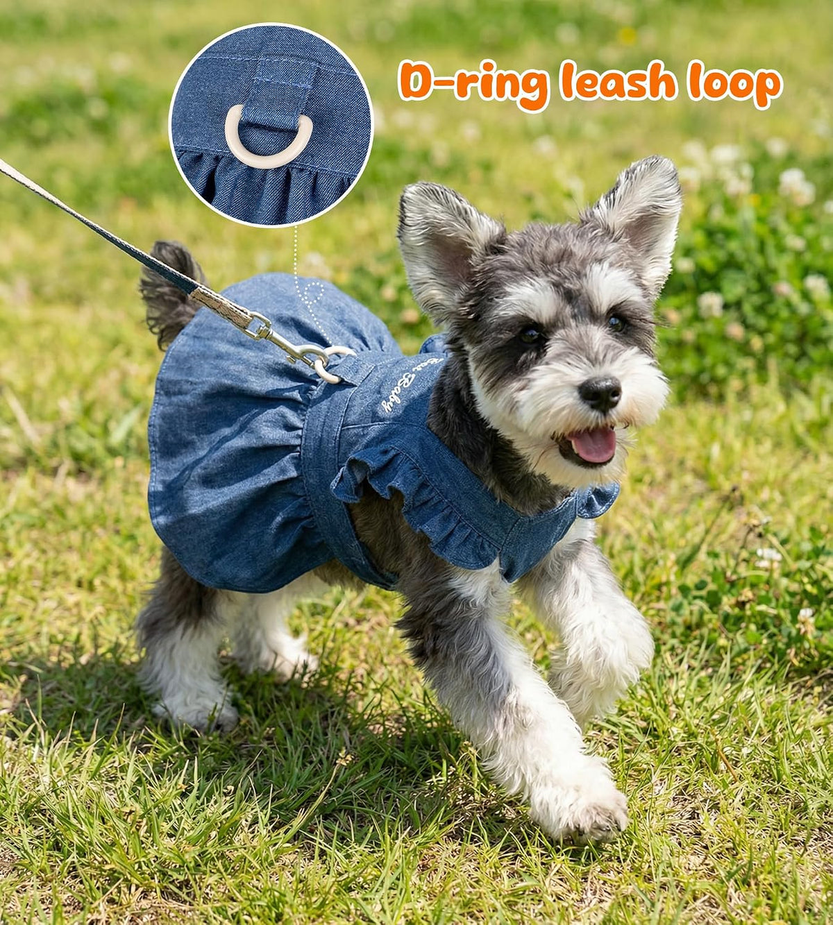 Back view of the BAOBICUTE pet outfit highlighting the metal D-ring attachment for convenient leash access.