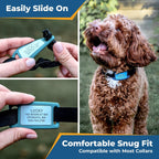GoTags quiet collar tag displayed on a small dog for sizing comparison
