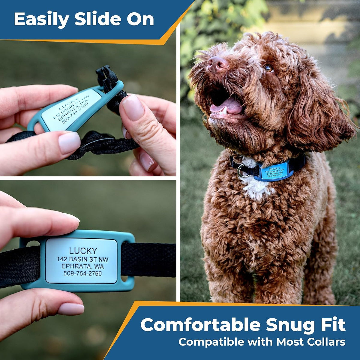 GoTags quiet collar tag displayed on a small dog for sizing comparison