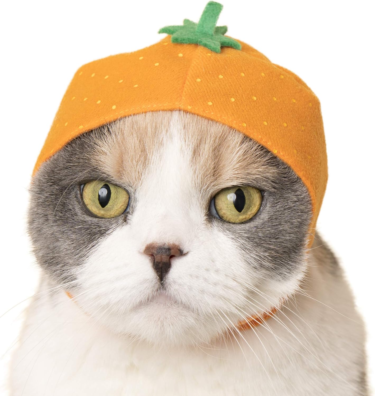 Six different fruit designs of Kitan Club pet hats