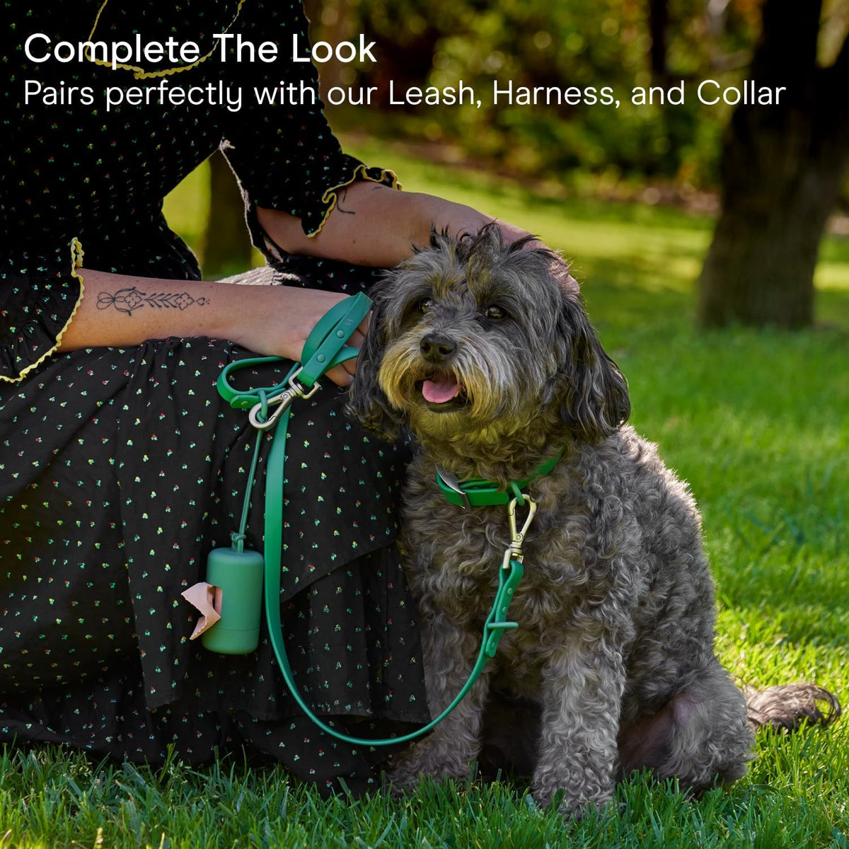 Lilac color matched premium dog walking accessory set with leash attachment.