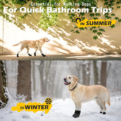 Expawlorer anti-licking dog socks in packaging
