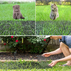 Senenqu scat mat placed on indoor sofa to prevent pet scratching
