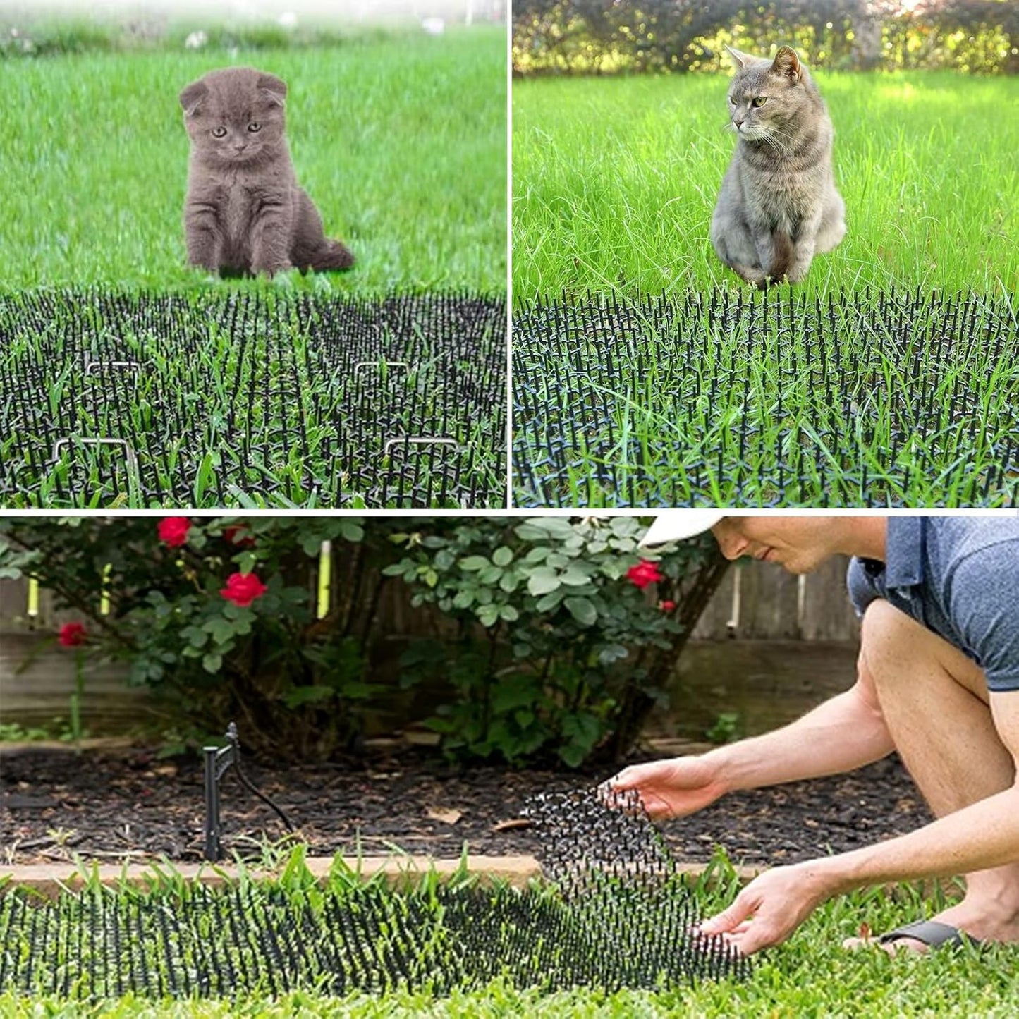 Senenqu scat mat placed on indoor sofa to prevent pet scratching