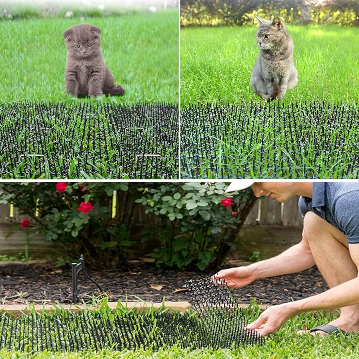 Senenqu scat mat placed on indoor sofa to prevent pet scratching