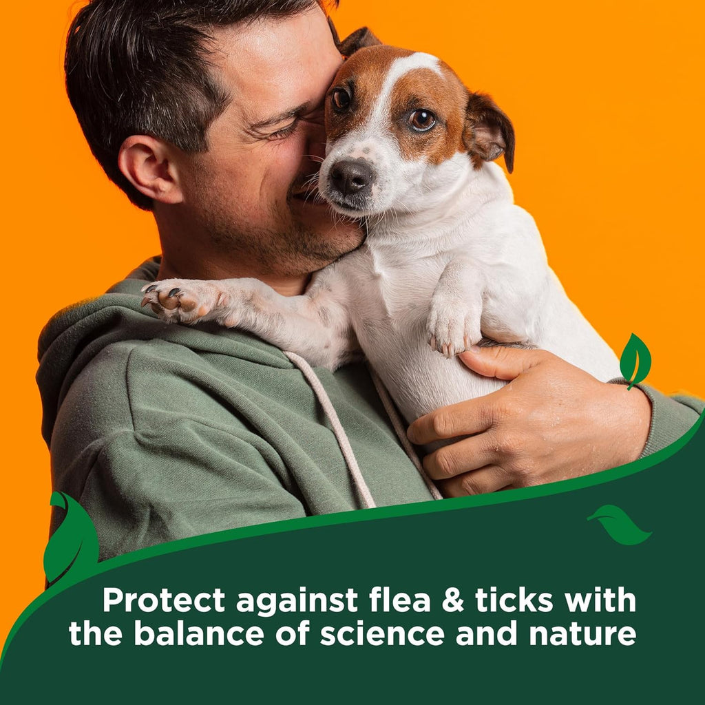 Natural rosemary and peppermint oil dog shampoo for tick control