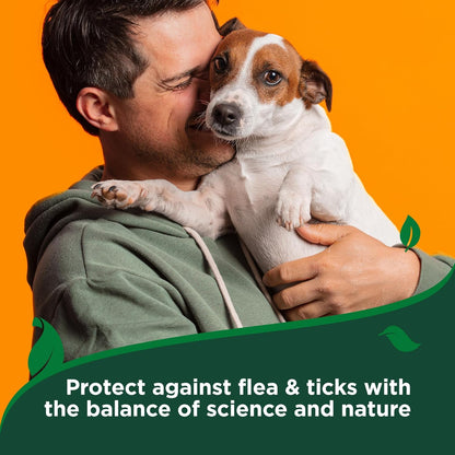 Natural rosemary and peppermint oil dog shampoo for tick control