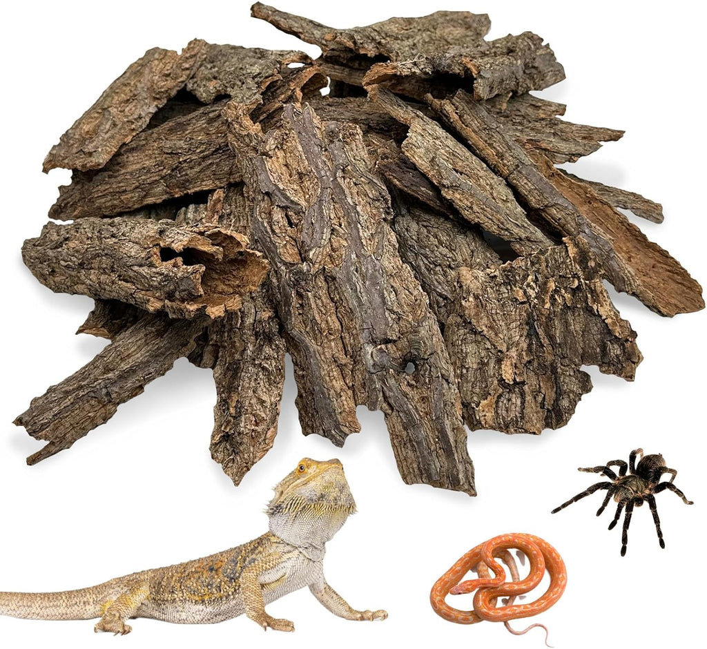 Natural Reptile Cork Bark Bedding Bearded Dragon Climbing Wall Mat 6PCS Cork Wood for Terrarium Background Decor Crested Gecko Tank Accessories for Lizard Snake Chameleon Tortoise Frog - Image 11