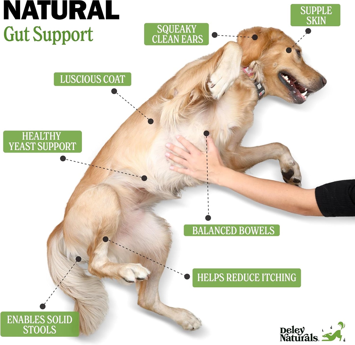 Deley Naturals dog probiotic ingredients label detail