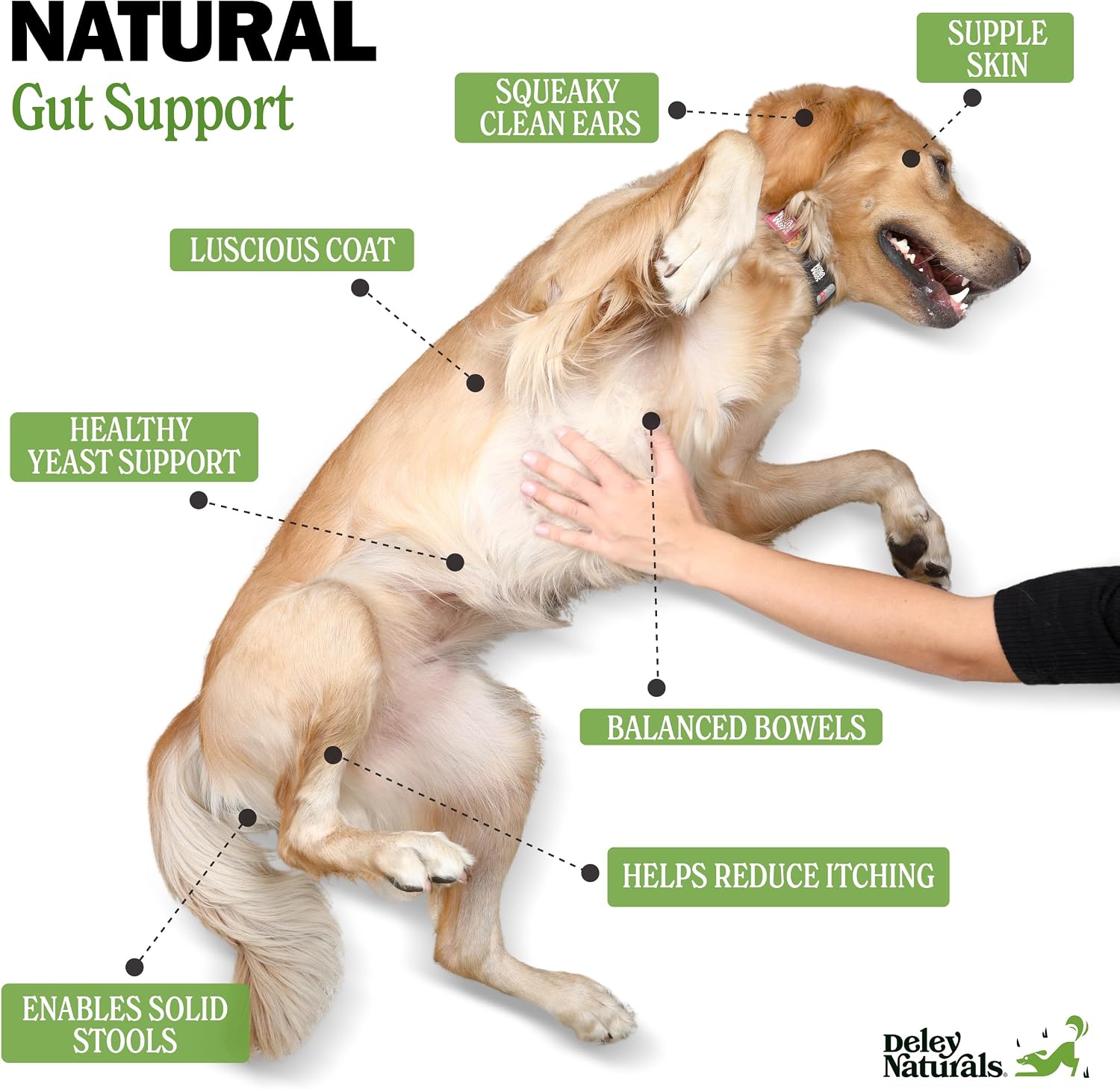 Deley Naturals dog probiotic ingredients label detail