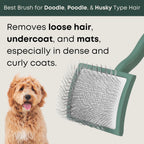 Freshly Bailey long pin slicker brush showcasing the flexible stainless steel pins