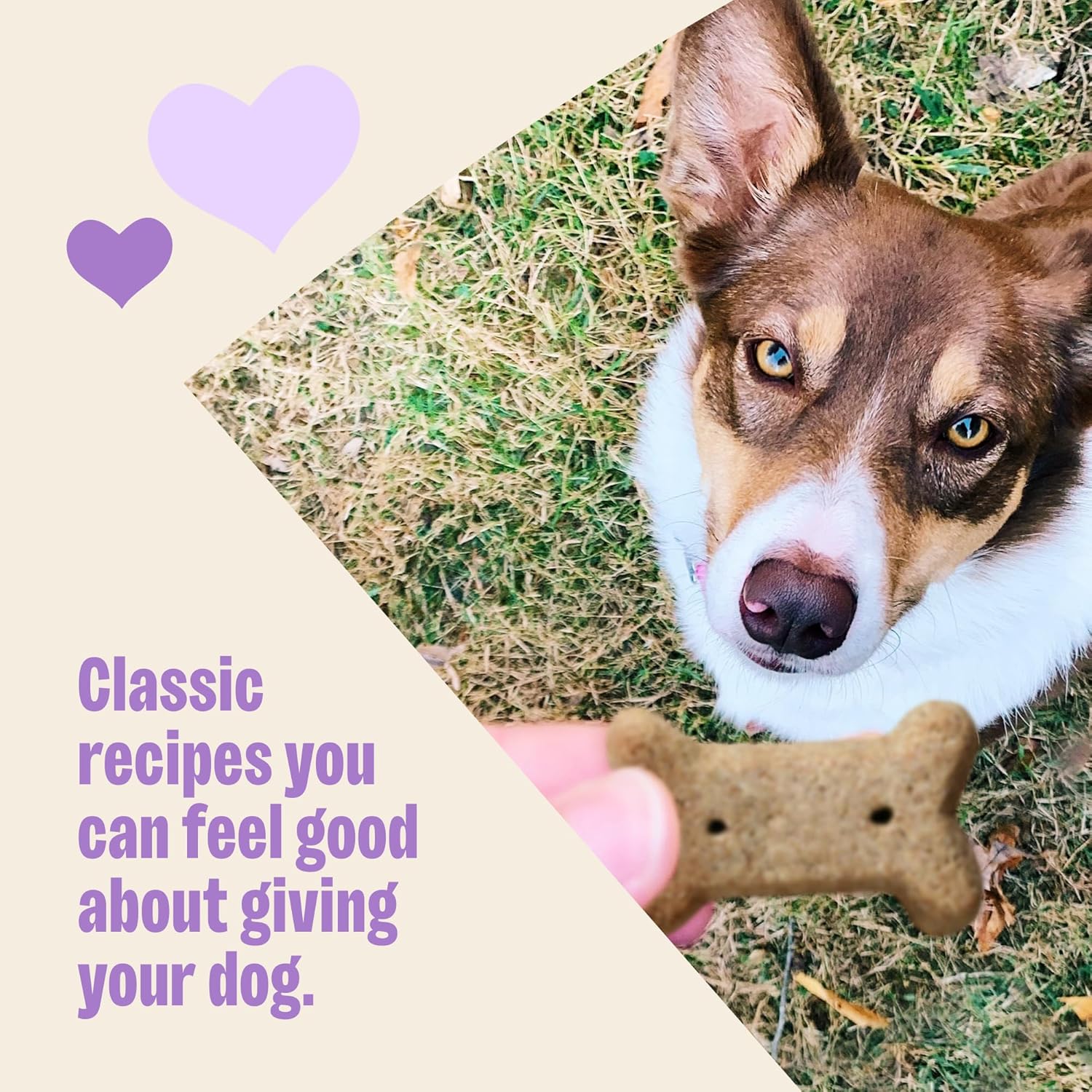 Authentic USA imported premium dog biscuits for dental plaque control and training rewards.