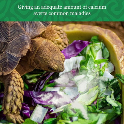 Vitamin D3-free calcium powder for reptile bone health