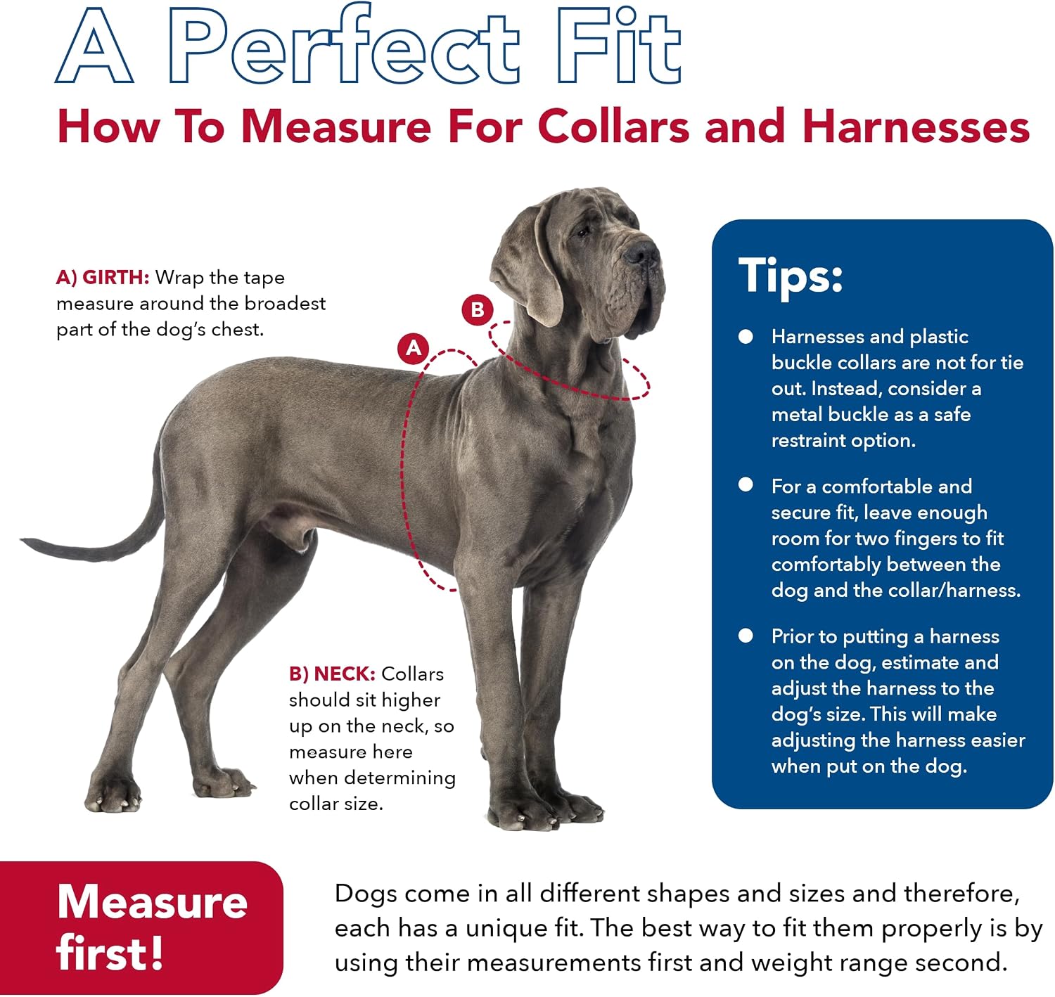 Adjustable metal training collar for small and medium dog breeds