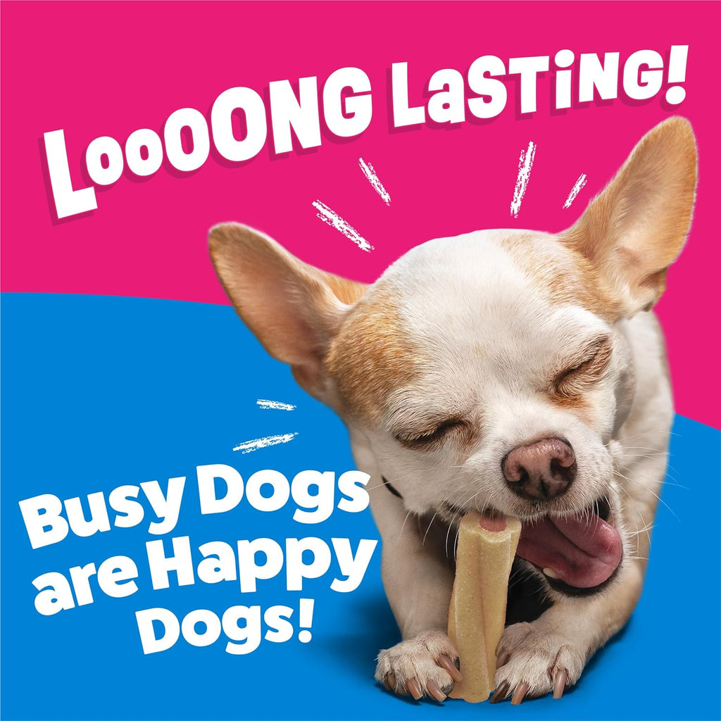 Close up of the twisted shape dental chew bone for small adult dogs.