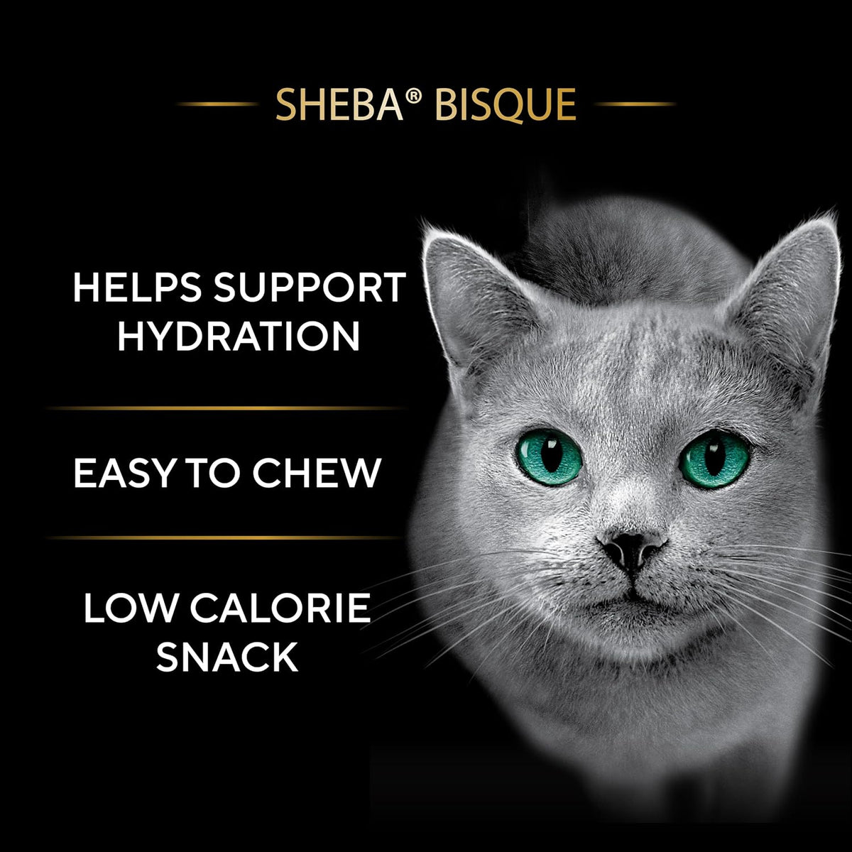Sheba Bisque tuna recipe wet cat treat bowl