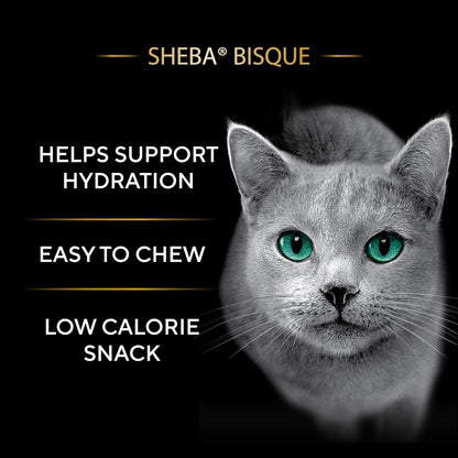 Sheba Bisque tuna recipe wet cat treat bowl