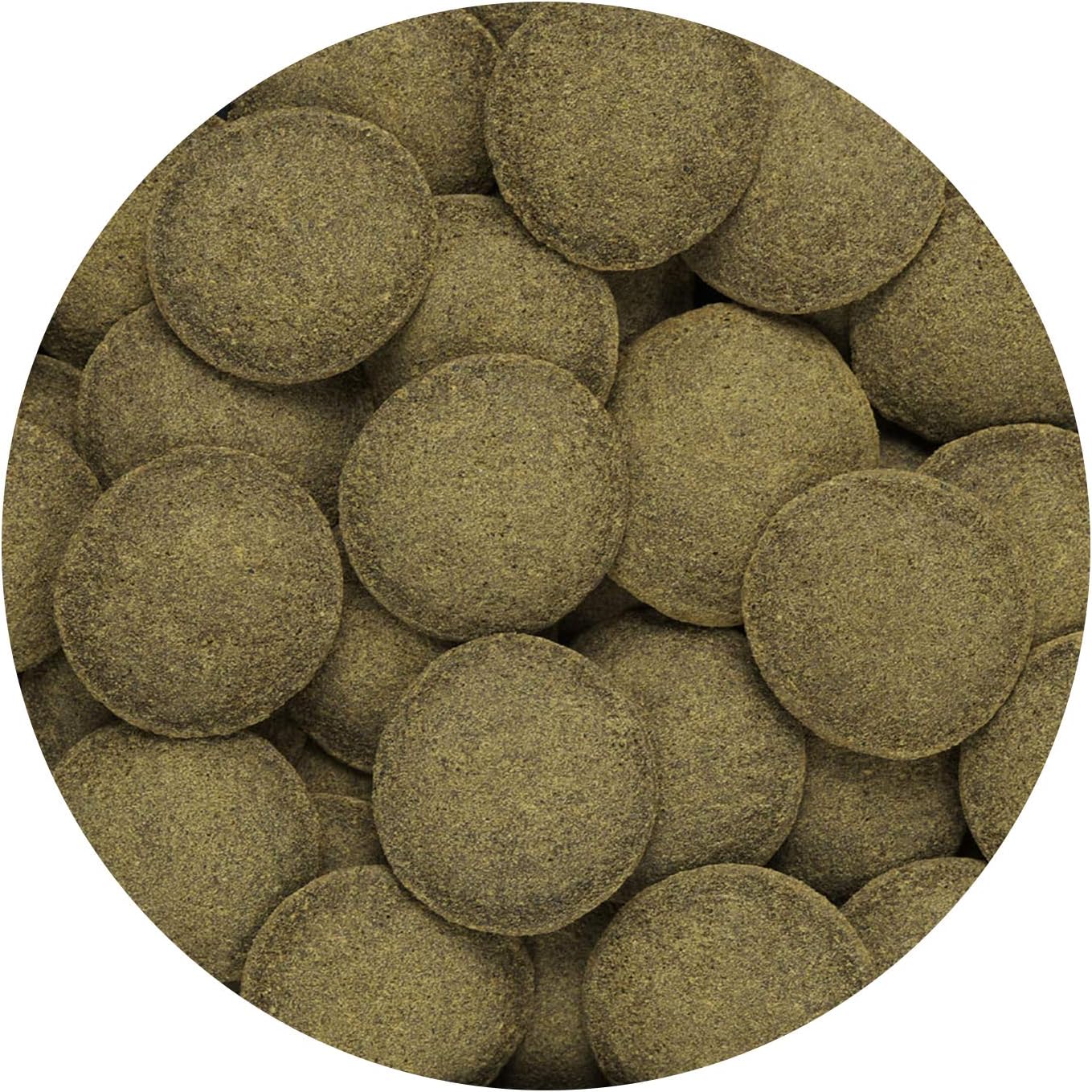 Close up of Hikari algae wafer disc shape