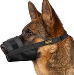 Mayerzon dog muzzle front view on a golden retriever showing adjustable soft fabric fit