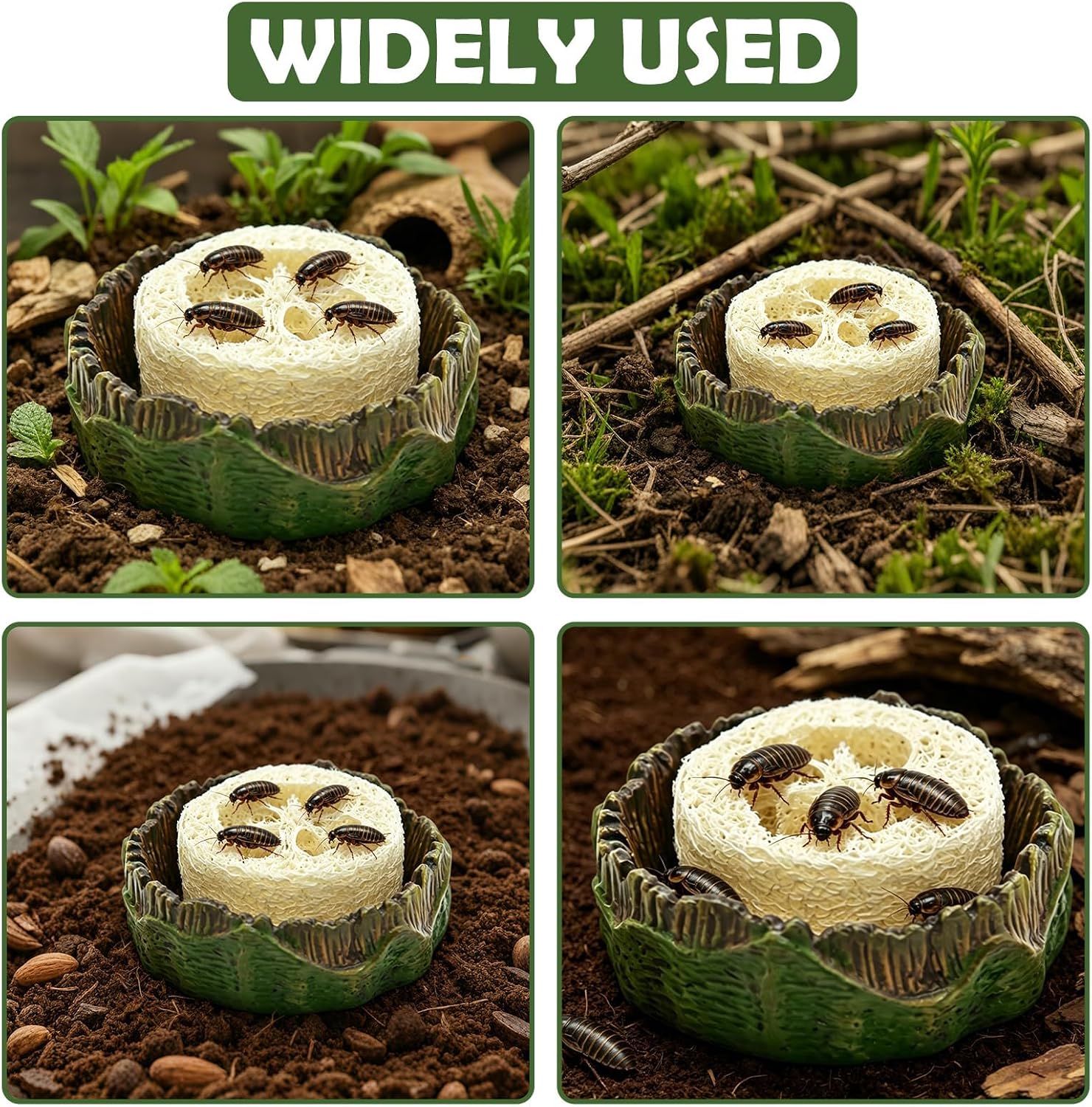 Cyuxing brand insect habitat accessory set for terrariums
