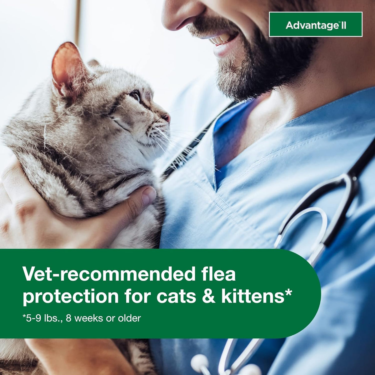 Authentic USA imported cat flea protection two month supply box