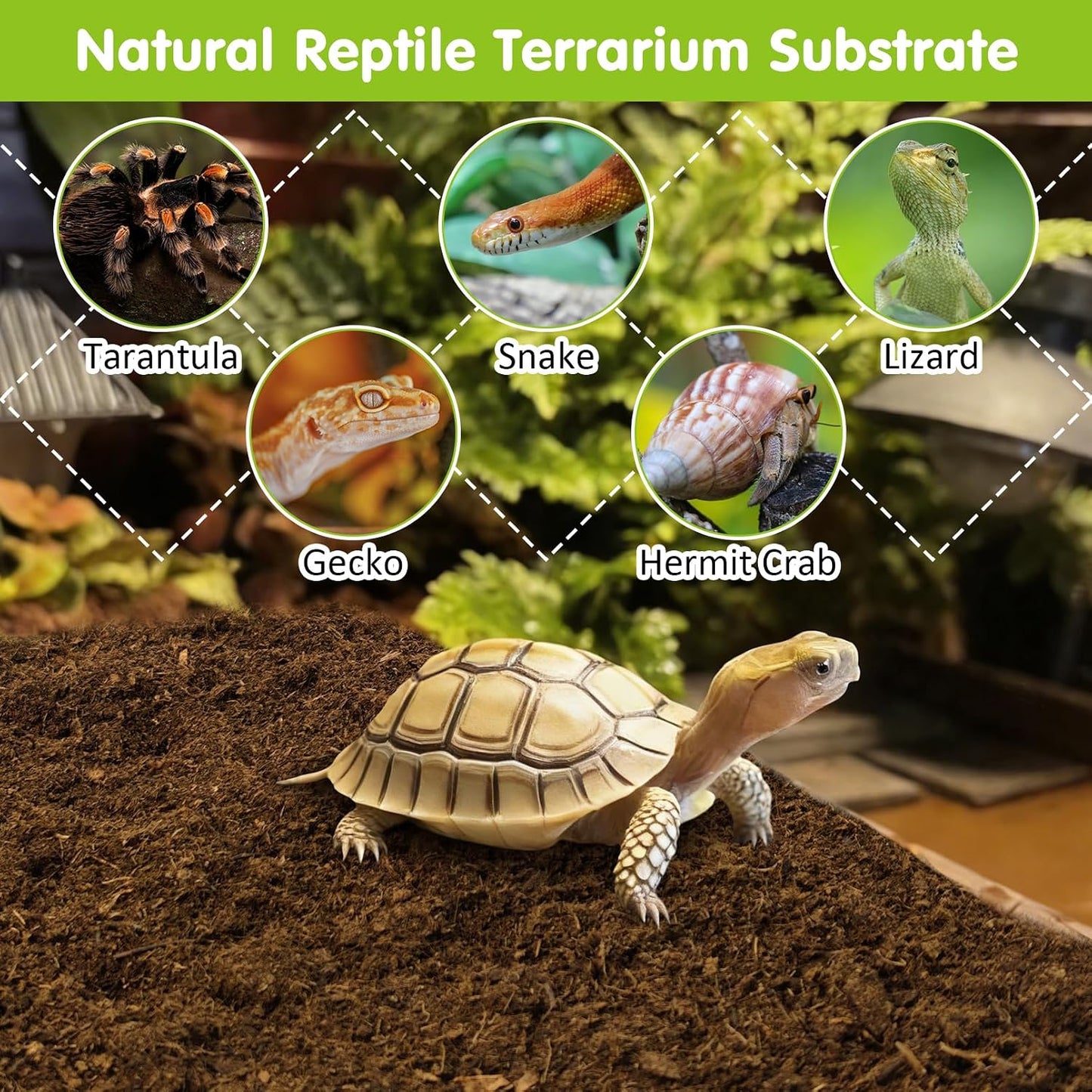 BNOSDM organic breathable reptile substrate for geckos and frogs