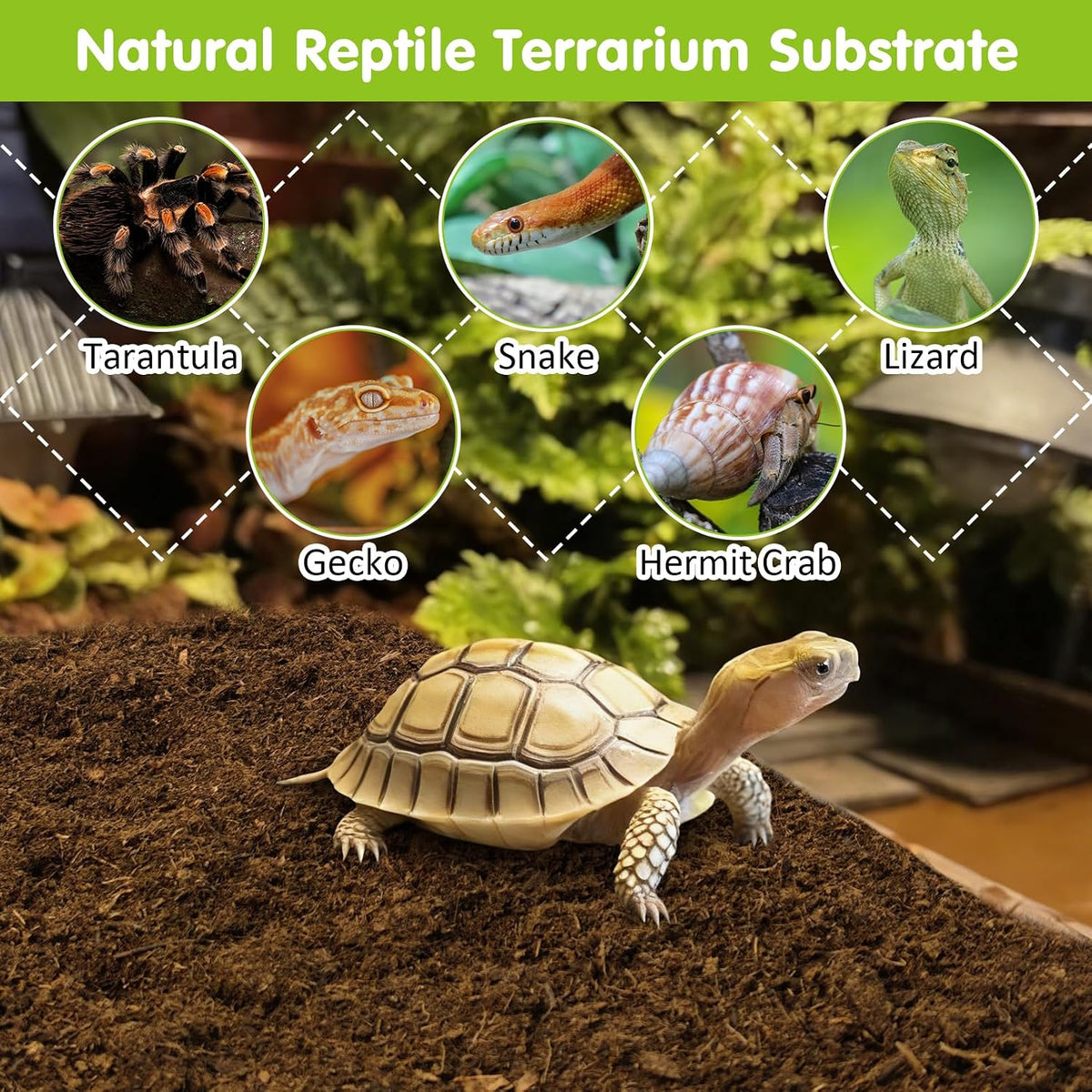 BNOSDM organic breathable reptile substrate for geckos and frogs