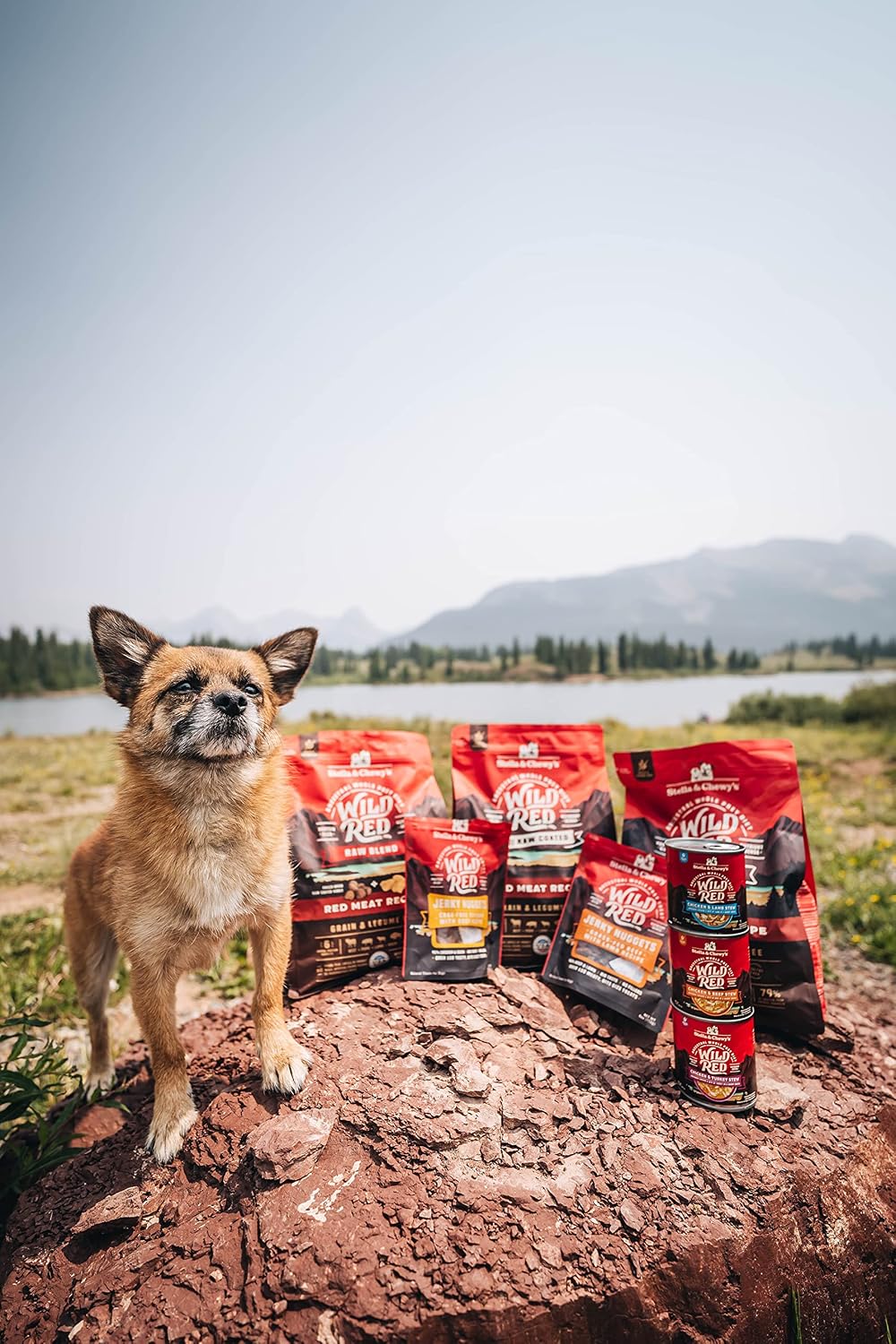 Stella & Chewy's Wild Red Raw Blend Kibble - Premium Freeze-Dried Raw Coated Dog Food - Perfect For Picky Eaters - High Protein Grain Free with 6 Red Meat Sources - 21lb Bag - Image 9