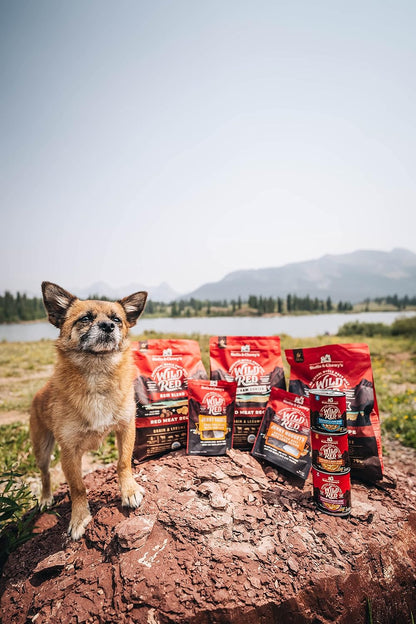 Stella & Chewy's Wild Red Raw Blend Kibble - Premium Freeze-Dried Raw Coated Dog Food - Perfect For Picky Eaters - High Protein Grain Free with 6 Red Meat Sources - 21lb Bag - Image 9