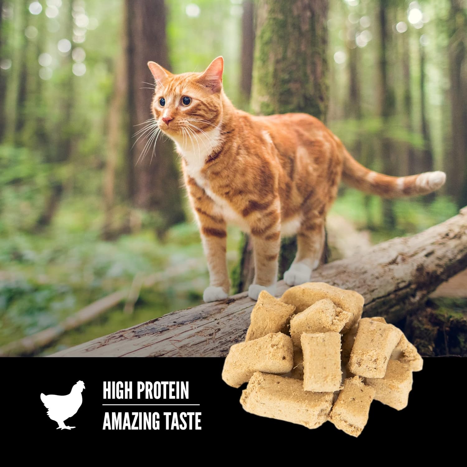 Orijen raw animal ingredients cat treats nutrition facts
