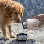 Premium double-wall vacuum insulated pet travel gear highlighting temperature retention features