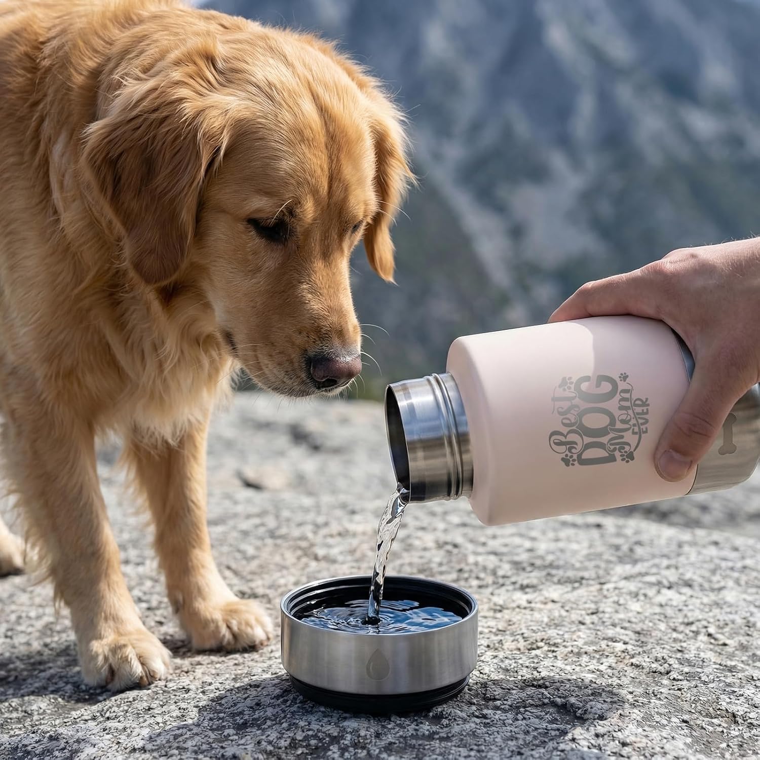 Premium double-wall vacuum insulated pet travel gear highlighting temperature retention features