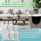 PurifyLogix chemical free odor absorbing filter bag placement demonstration for pet owners