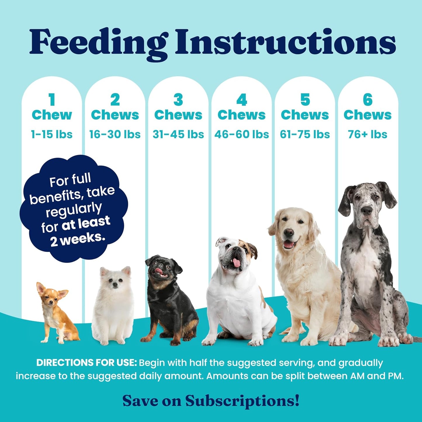 Solid Gold pet gut and immune health formula for dogs
