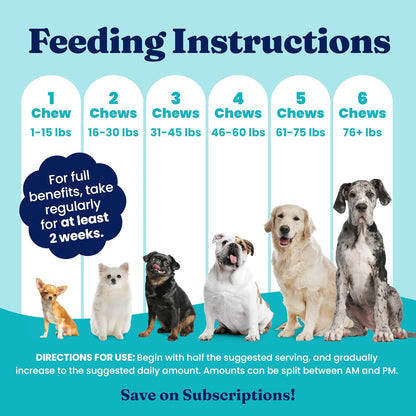 Solid Gold pet gut and immune health formula for dogs