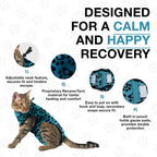 Comfortable fit of BellyGuard suit on a kitten