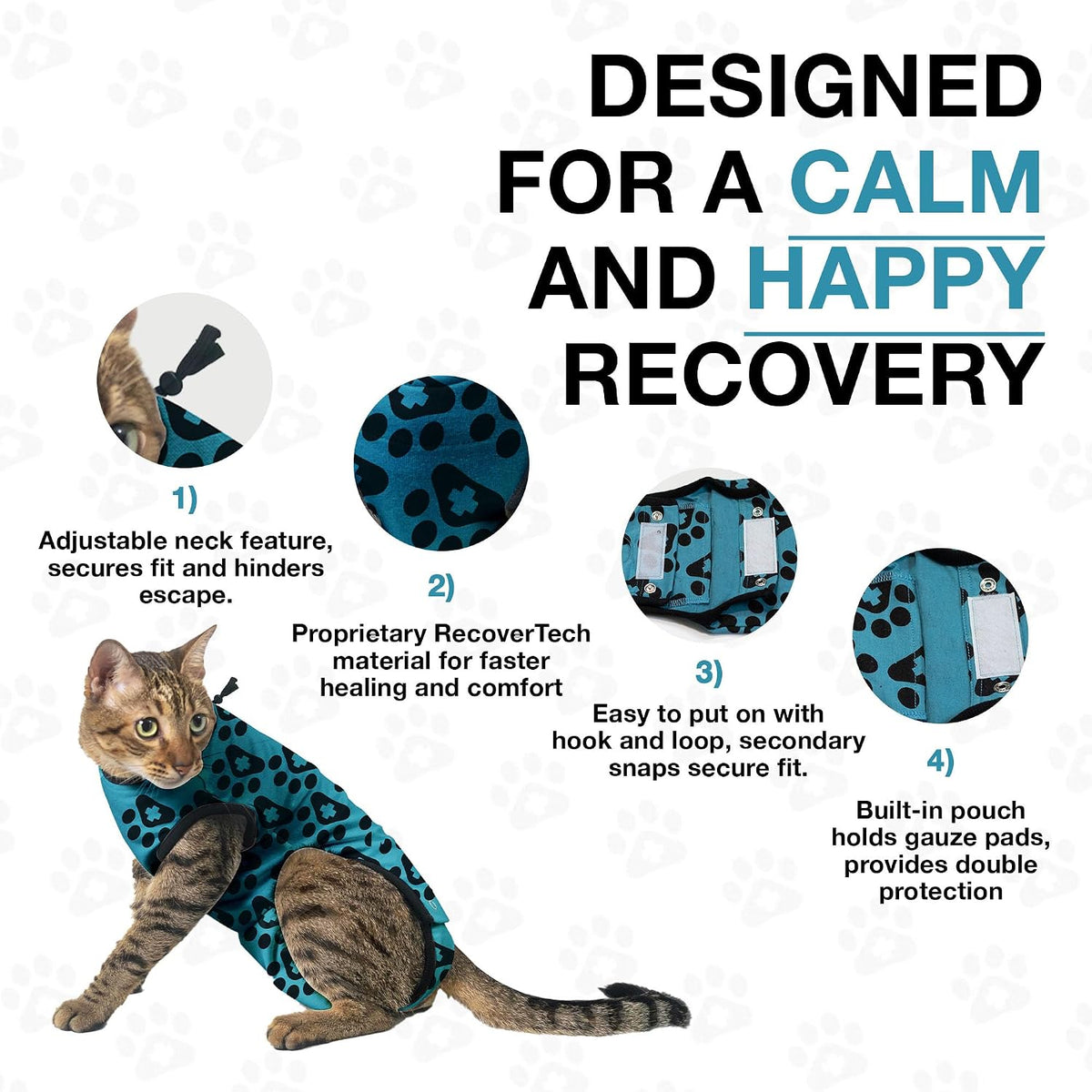 Comfortable fit of BellyGuard suit on a kitten